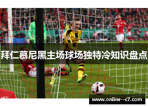 拜仁慕尼黑主场球场独特冷知识盘点