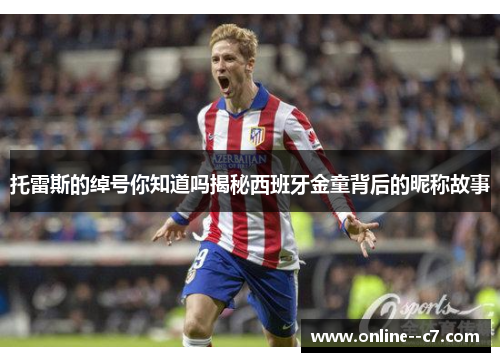 托雷斯的绰号你知道吗揭秘西班牙金童背后的昵称故事 托雷斯的绰号你知道吗揭秘西班牙金童背后的昵称故事