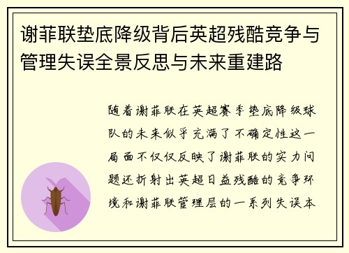 谢菲联垫底降级背后英超残酷竞争与管理失误全景反思与未来重建路